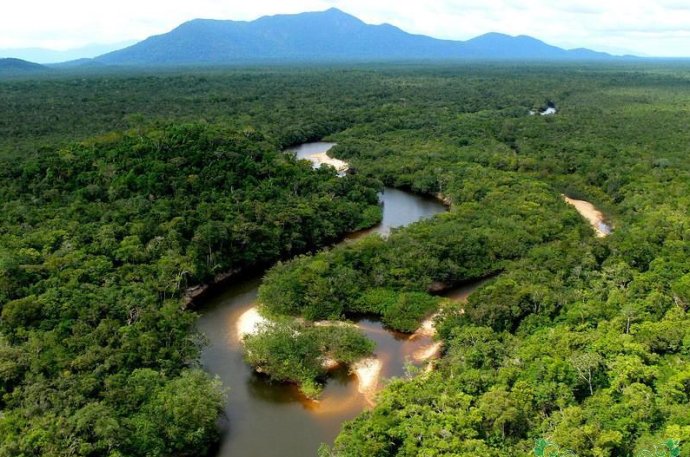 2017年全球的热带雨林面积总共减少了1580万公顷2017年全球的热带雨林面积总共减少了1580万公顷