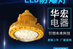 BAD808-M2 防爆防腐LED灯 LED防爆灯