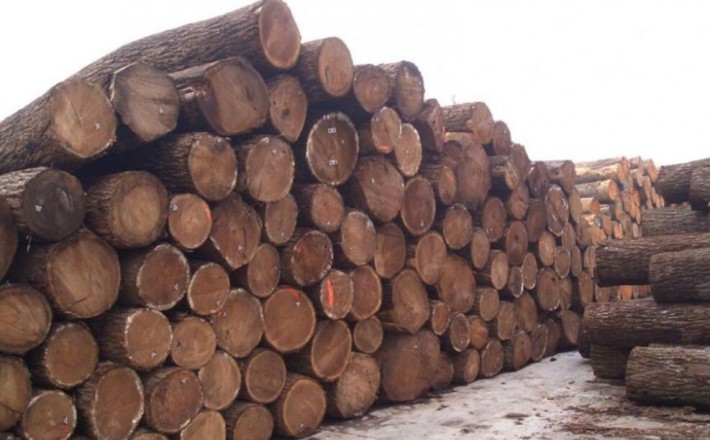 北美木材的进口成本上涨了30%左右