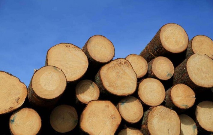 1-7月芬兰原木交易量2650万立方