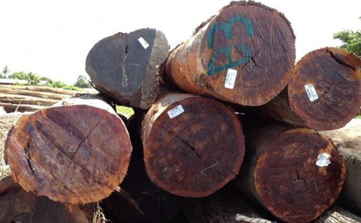 南美木材的爆发性增长，还归功于全球各国对木材的出口限制