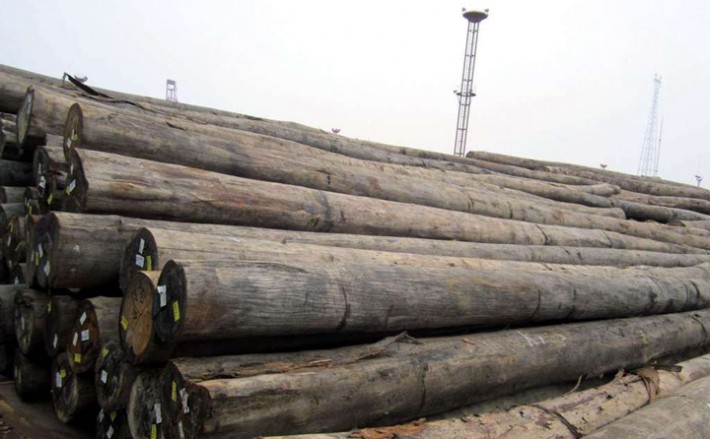 MTC是马来西亚木材公司与世界各地的进口商之间的桥梁