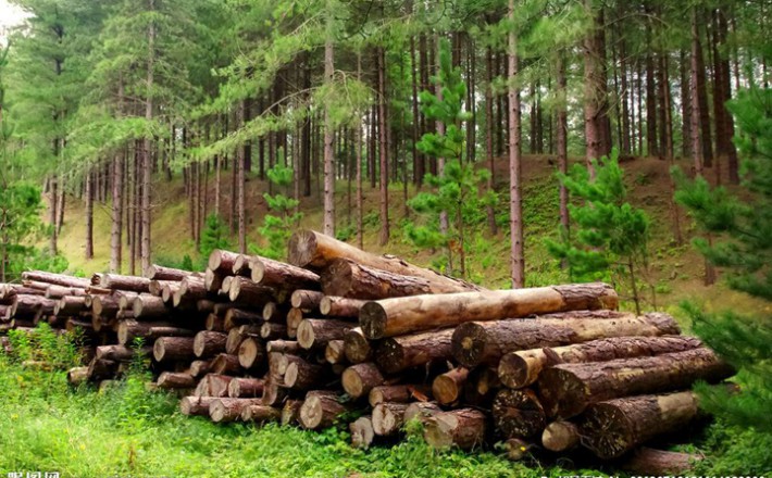 木材出口总量 的33.91%;其次是胶合板