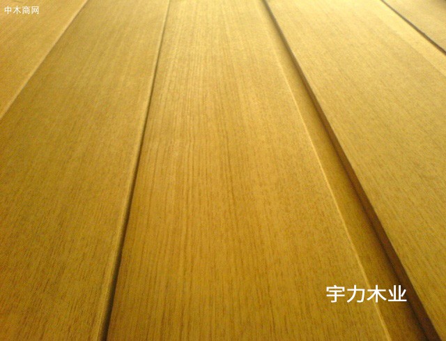 缅甸柚木木皮