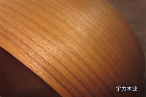柚木木皮,柚木皮,缅甸柚木木皮天然整版花纹美丽​图2