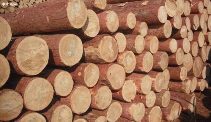 成都崇州开展木材加工企业专项执法检查