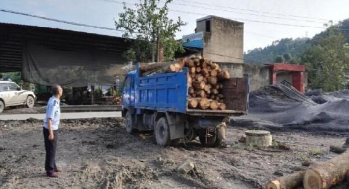 云南隆阳森林公安查获一起无证运输木材案