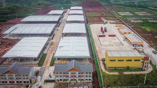重庆永川：打造重要的西部木材产业基地