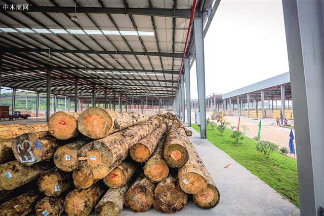 国际标准化的木材货场