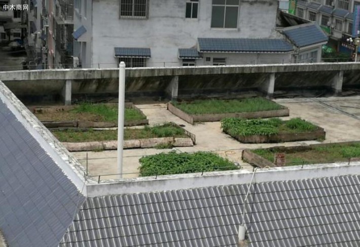 外国出现的一套新型的屋顶花园住宅