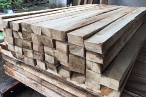 精品白杨树 柳树 柏木 樟木锯材 板材 长期大量供应