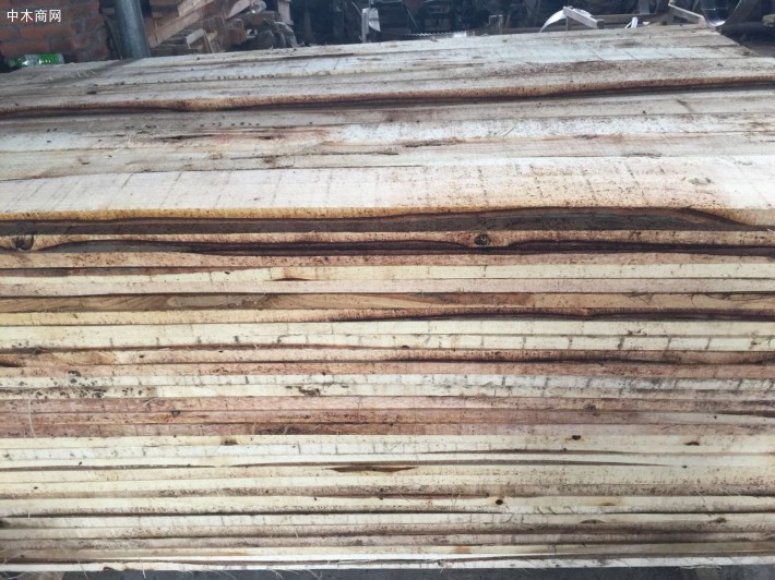 精品白杨树 柳树 柏木 樟木锯材 板材