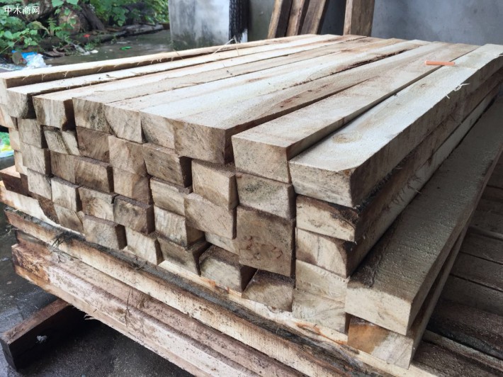 柏木 樟木锯材 板材