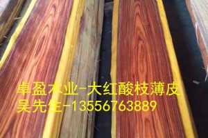 木材薄皮、拼花门薄皮图2