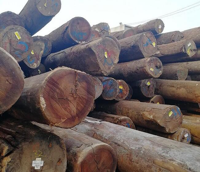 费县依法取缔2家违法木材企业