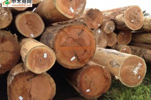 东莞柏能木业新到南美旋切材,各种规格大量供应