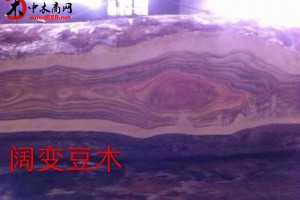 优质阔变豆 南美柚木 菠萝格 花梨 马蹄豆 落腺豆批发