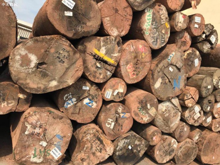 东莞市柏能建材贸易有限公司专业从事南美洲木材贸易多年