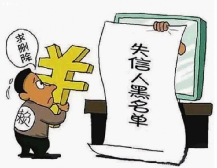 触犯环保条例，嘉善某木业老板成“老赖”