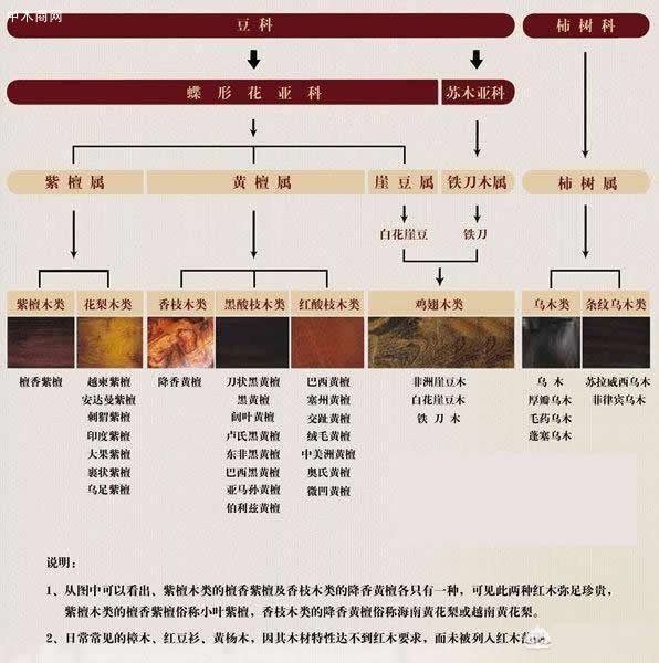 有没有一些关于红木家具的基本知识可分享？