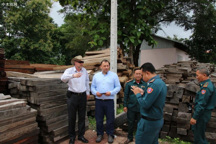 CITES官员在老挝视察被扣押的交趾黄檀木材现场