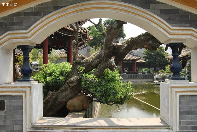 细赏广东四大名园，体味中式古典园林的精巧雅致