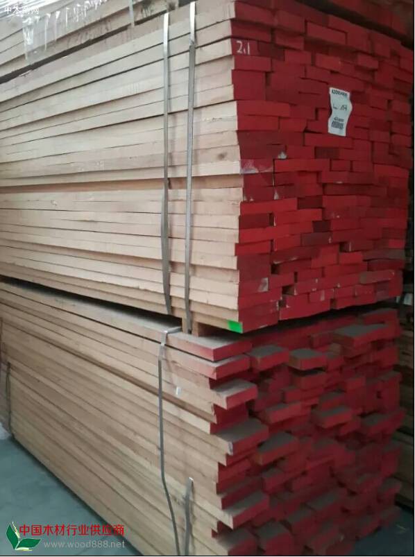 东莞兴富林木业供应A级进口欧洲榉木自然板