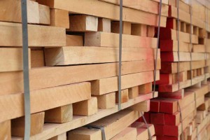 厂家直销欧洲榉木短料 榉木板材 长期大量批发