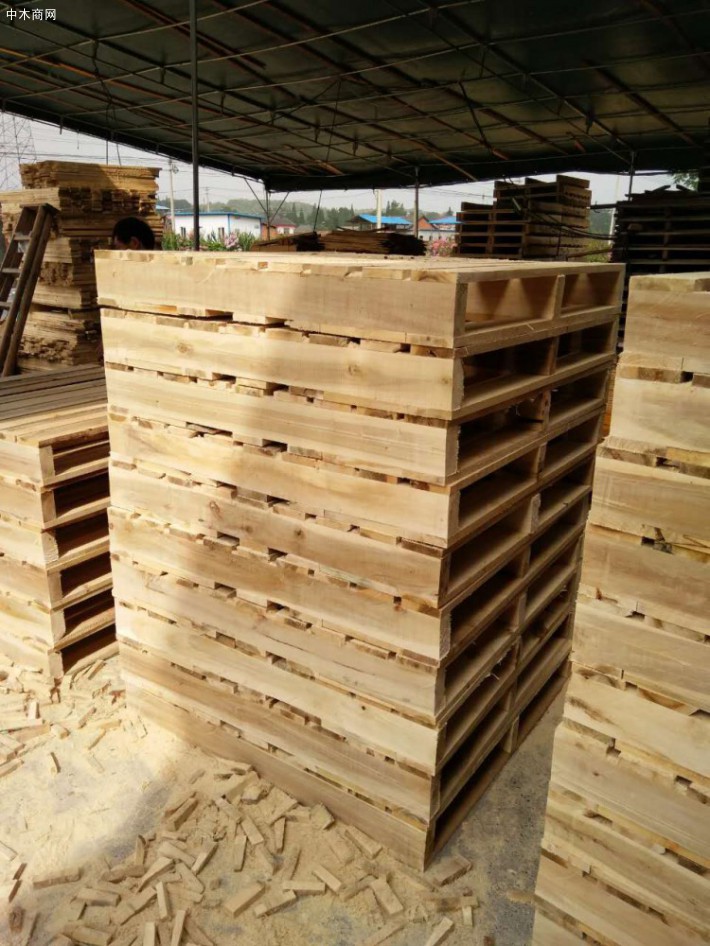 广西那坡县开展木材检疫执法检查行动