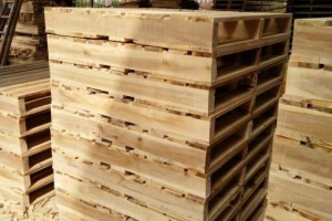 广西那坡县开展木材检疫执法检查行动