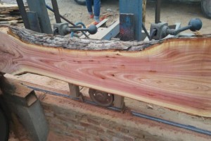 河南红椿木烘干板材最新价格图3