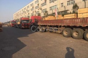 临沂建筑木方批发销售图2