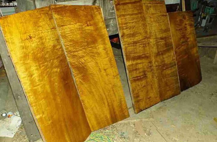 楠木是中国特有的珍贵木材
