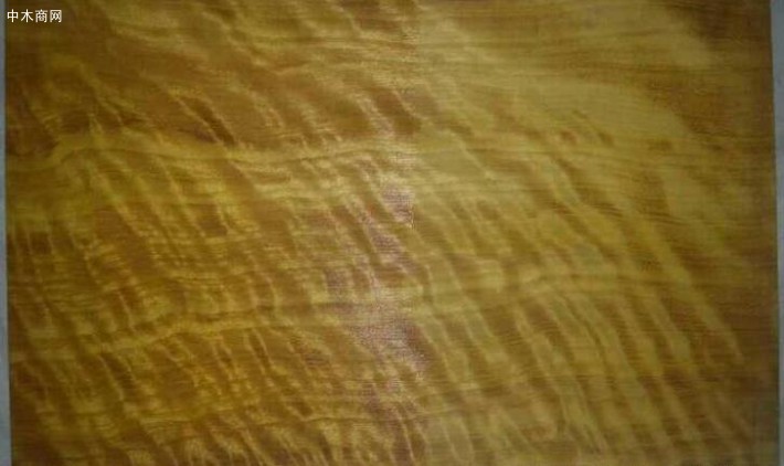 楠木板材木质坚硬耐腐