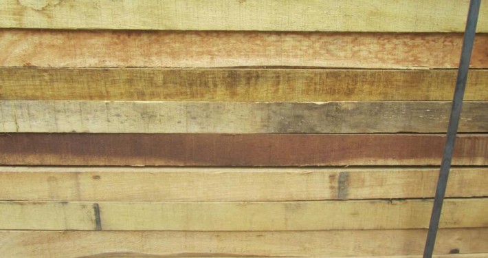 楠木实木板材厂家今日最新报价