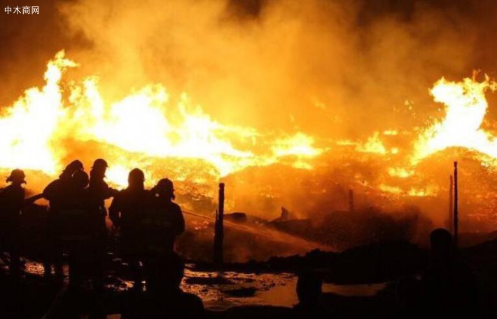 黄山一木材厂突发大火 无人员伤亡