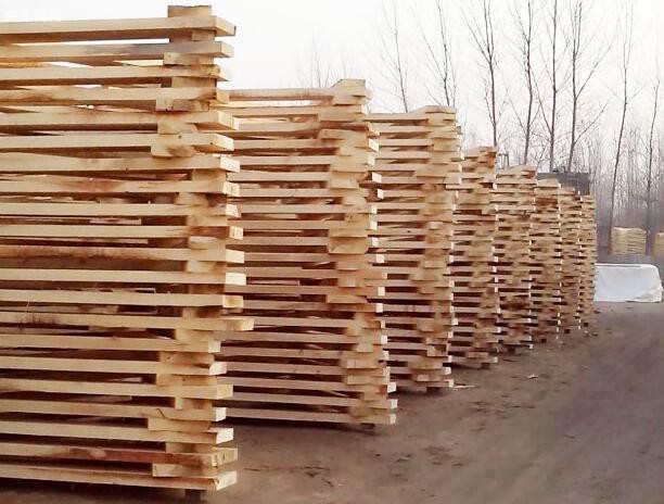 青海玛沁县对木材经营加工厂进行检查