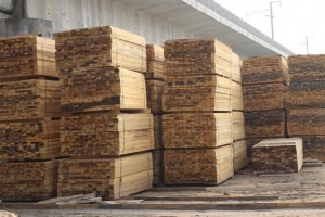 潍坊建筑方木生产厂家图3
