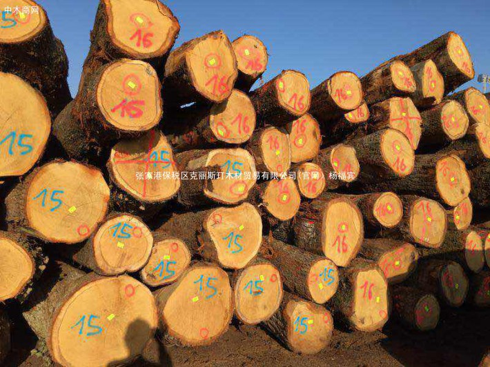 欧洲白橡木原木厂家批发价格