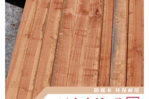 厂家直销巴劳木批发 黄巴劳木 红巴劳木方 巴劳木防腐木图3