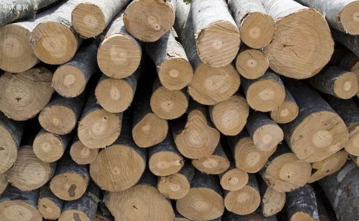 国产桦木原木做家具的优点