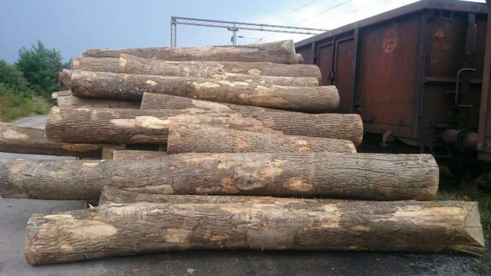 湘潭市森林公安局依法没收百余立方米无合法来源木材