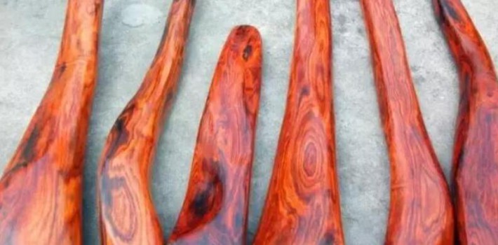 材色主要是指木材的心材干透之后表面的颜色