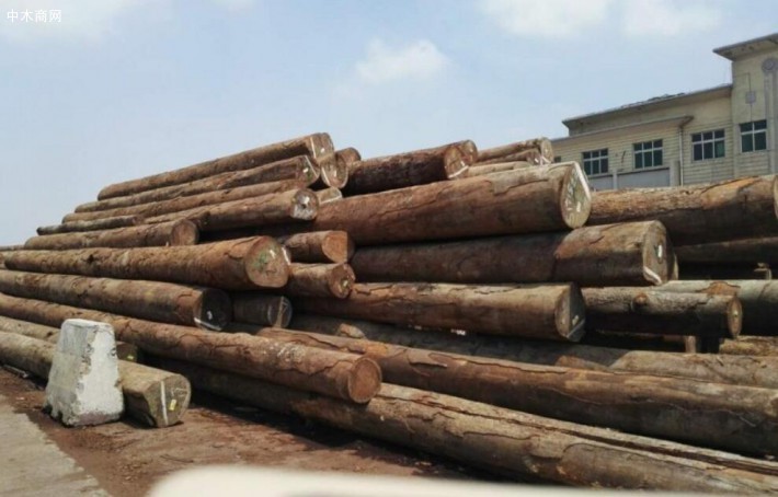 禁止出售木材？安哥拉农业和林业部出来辟谣