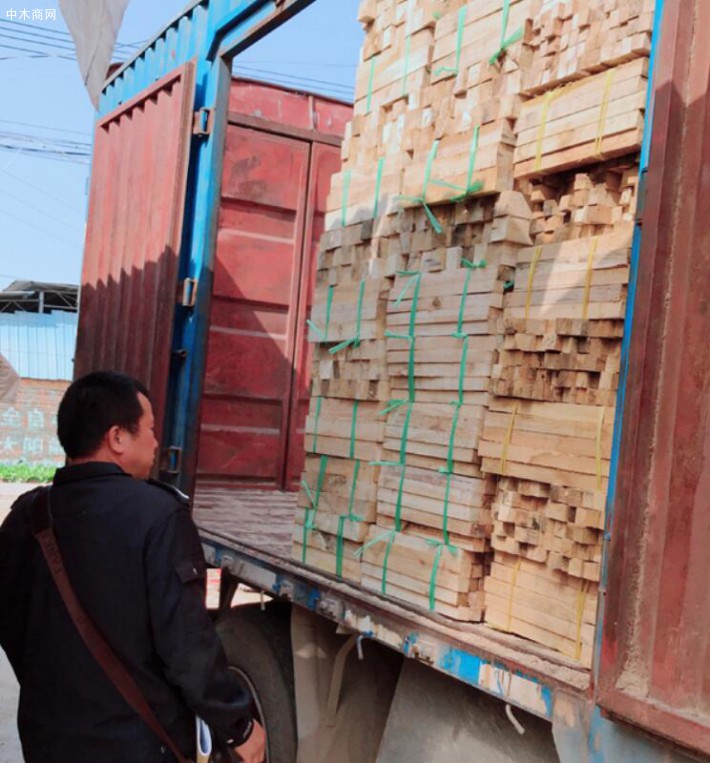 赣州大余县开展打击非法运输木材等专项行动