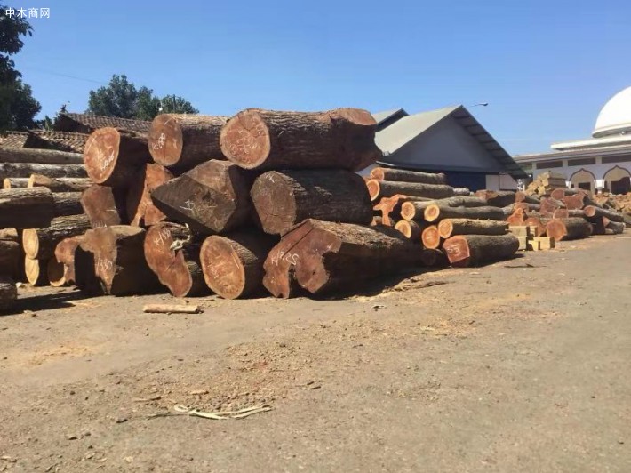印尼大叶桃花心木板材厂家批发价格
