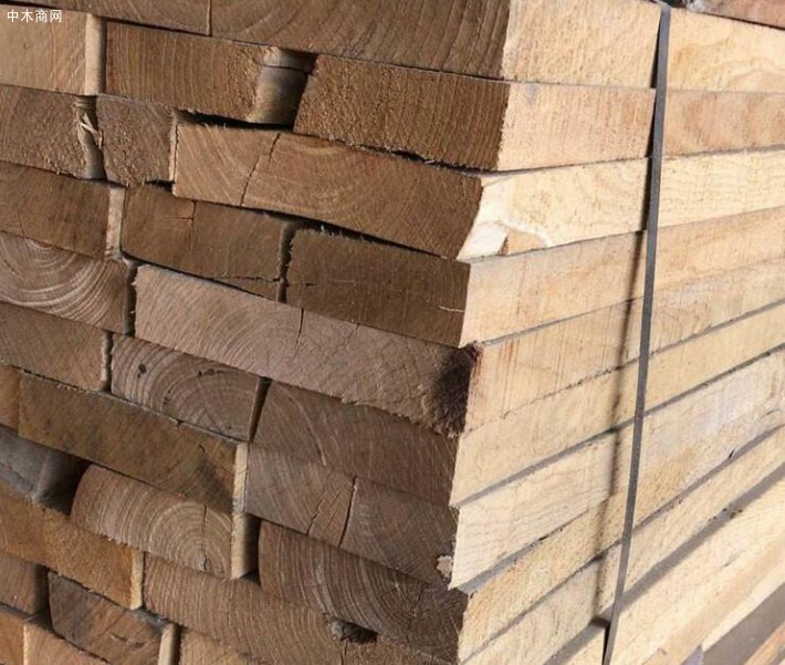 可定制 苦楝木 榆木实木烘干板 品种多 质量优