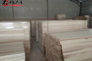 国亮杨木制品厂杨木拼板 杨木板材 等宽条 20mm 规格定做