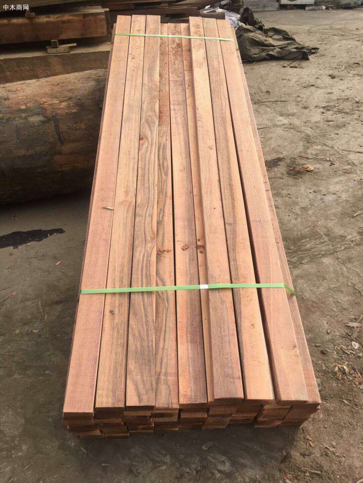 柳桉木的材料性质