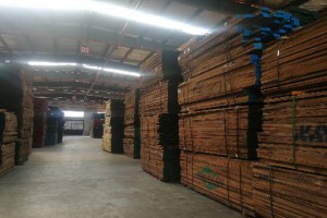 美国进口黑胡桃木板材最新批发价格图2